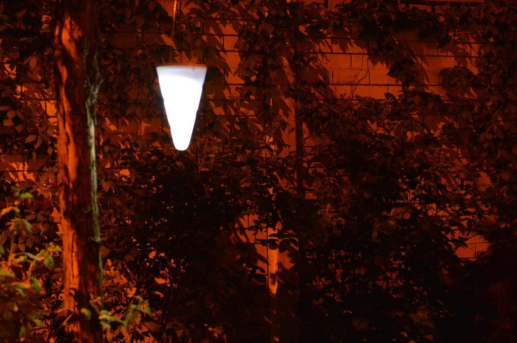 Exit Routine Hostel Timisoara Exterior foto